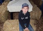 BullSale_298633_13.JPG