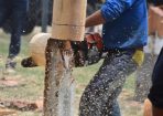 slshowpics_313915_01.JPG