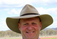 Here we Show again, Stanthorpe leads the way