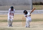 stcricket_315921_01.jpg
