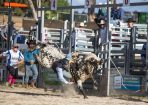 StanRodeo_322614_01.JPG