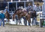 StanRodeo_322614_02.JPG