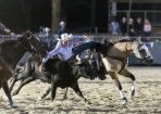 StanRodeo_322614_03.JPG