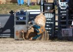 StanRodeo_322614_09.JPG