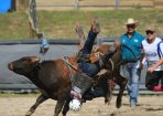 StanRodeo_322614_16.JPG