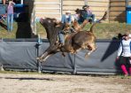 StanRodeo_322614_20.JPG