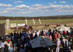 stanhorse_369100_01.JPG