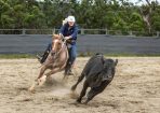 CampDraft_388729_09.JPG