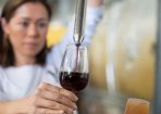 winery_387326_01.jpg