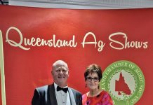 Shows aim to involve youth