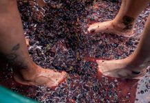 Record visitor results