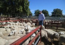 Raining on the parade