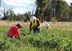 ruralaid_403045_03.JPG