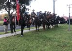 LightHorse_404552_01.JPG