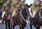 LightHorse_404552_09.JPG