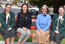 Red benches symbols of support