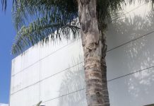 RADF grants approved