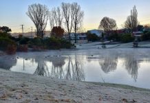 Temperatures drop sub-zero as Granite Belt enjoys first frost of the year