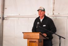 Renewables: Farmers offered chance to ‘diversify’ income