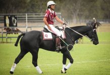 Warwick set for nationals