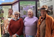 Local issues prevail