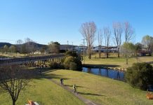 Public consultation for the new budget