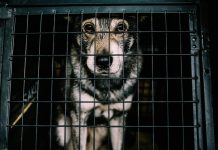 Council meeting In brief