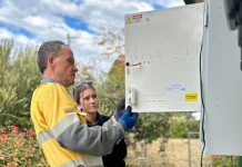 Success energising the youth