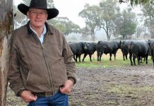 Announcing Ced to the Bling and Bowties