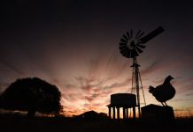 Rural Aid’s iconic photo competition opens