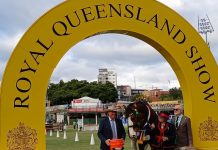 Yangan horses reign supreme at Ekka