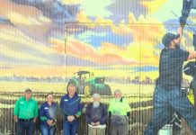 Famed-Allora artists may have painted their last mural together