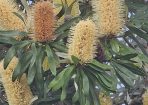 plantdrive_427098_03.jpg