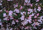 plantdrive_427098_04.JPG