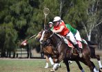 polo_427918_11.JPG