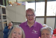 Ageing well in Stanthorpe