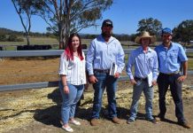 Strong results at Glenisa