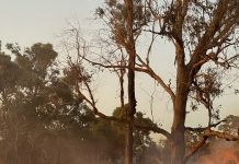 Plea for fire vigilance