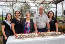 Spring and harvest vineyard party