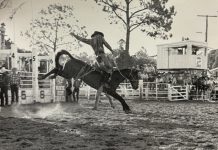 Rodeo and Campdraft around the corner