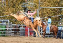 Big numbers at rodeo