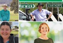 What politicians think of youth crime and how they plan to address it