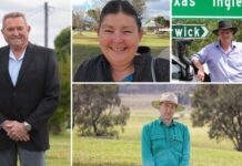 Candidates divided on Emu Swamp Dam