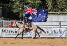 Region is rodeo ready