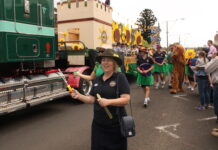 GALLERY: Sunflowers in bloom at Warwick Rodeo street parade