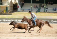 Top riders chasing $370k at Australia’s premier campdraft