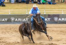 Rohan leaves his Mark on Gold Cup