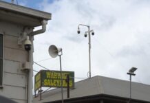 Stable cattle market, mixed sheep results at weekly sales