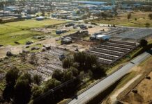 Livestock markets hold firm despite smaller yardings