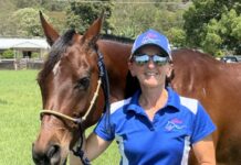 Sparkle in the skies